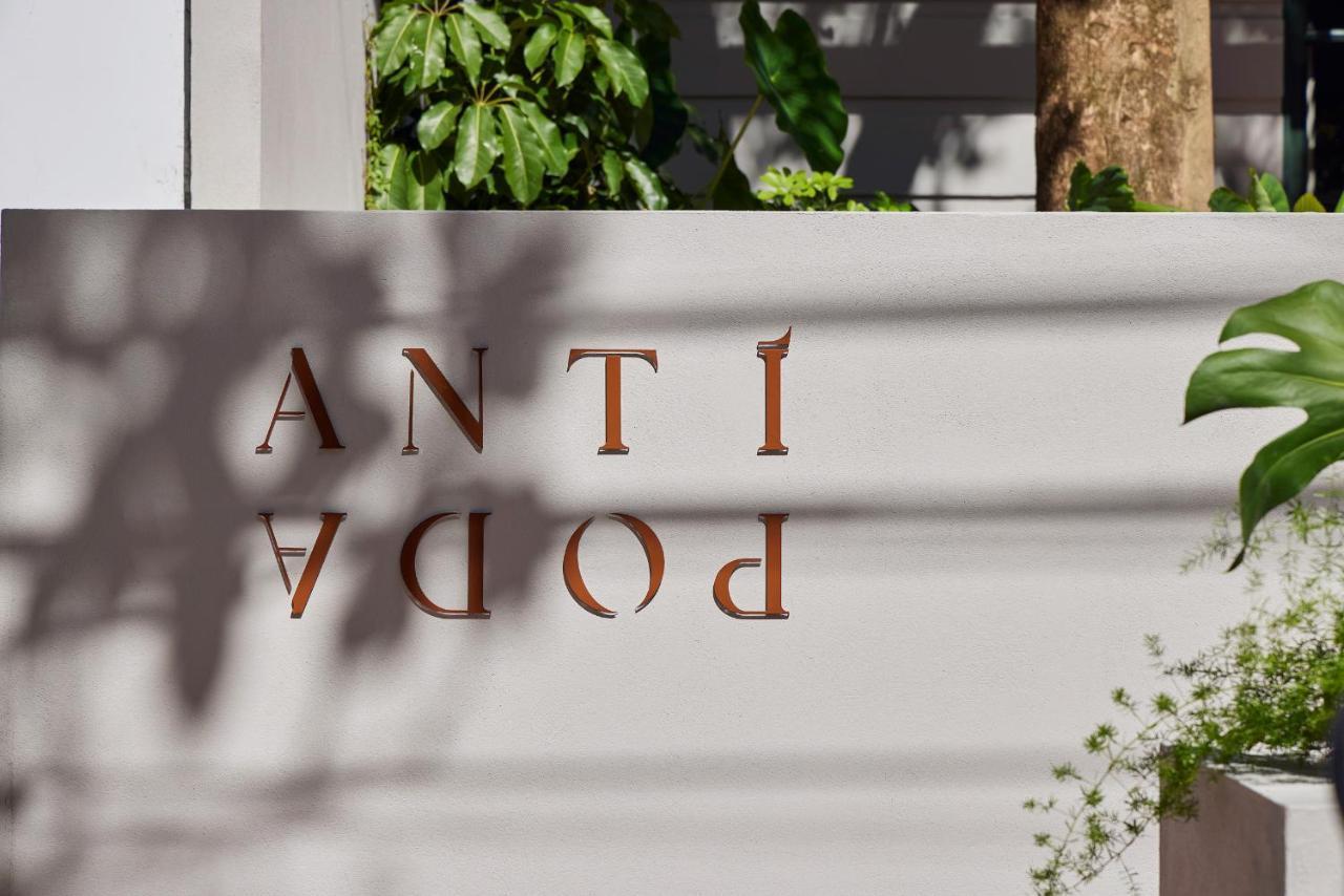 Antipoda Hotel Boutique 麦德林 外观 照片
