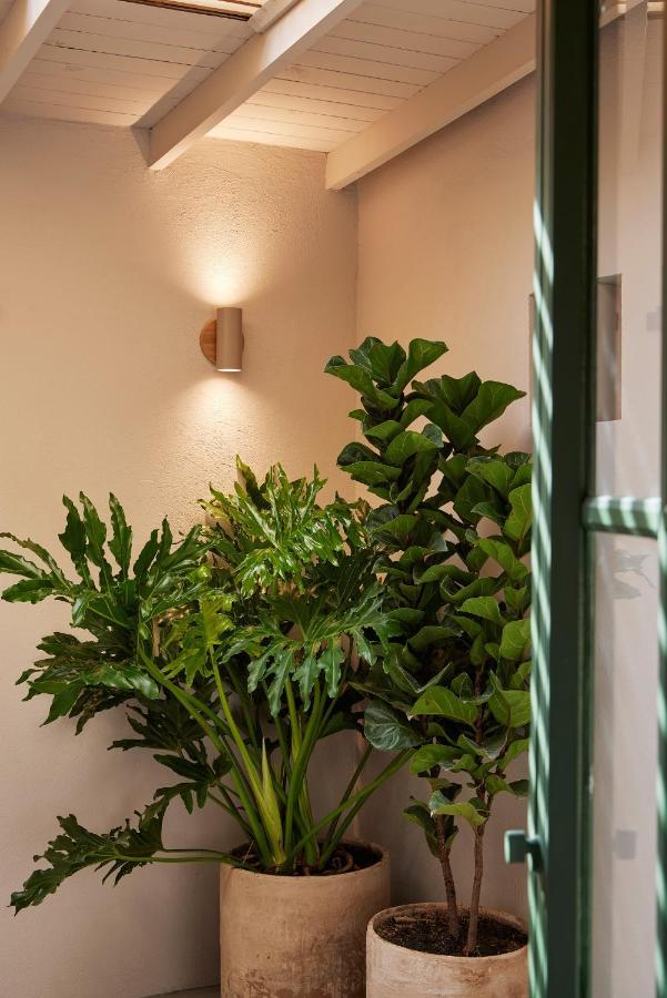 Antipoda Hotel Boutique 麦德林 外观 照片
